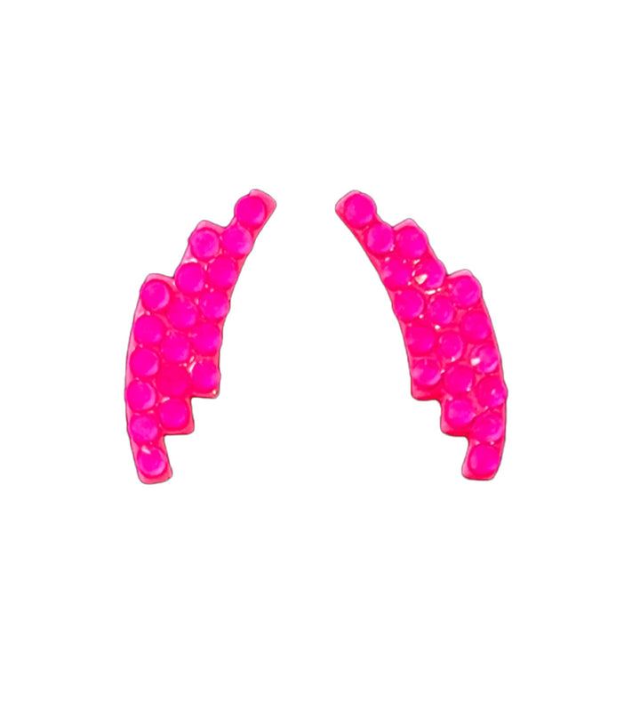 WingPost Neon Pink Earrings